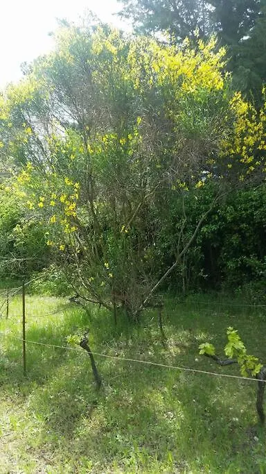 Holiday home Le Pigeonnier Villa Vaison-la-Romaine