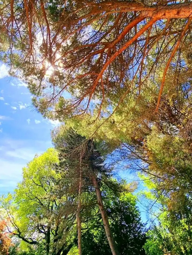 Le Pigeonnier Villa Vaison-la-Romaine Holiday home